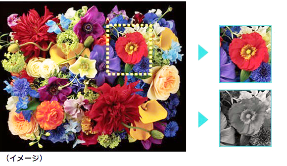 lx_print_image.png